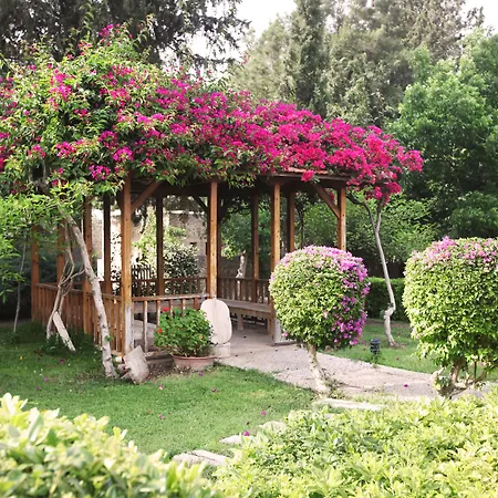 Heritage Homes Mehmet Ali Aga Konagi بيت ضيافة