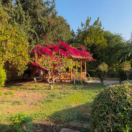 Heritage Homes Mehmet Ali Aga Konagi 4* داتْشا