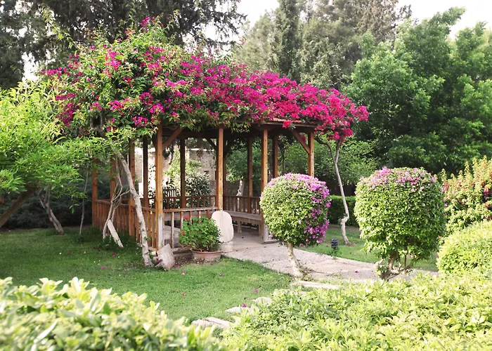 Heritage Homes Mehmet Ali Aga Konagi Guest house